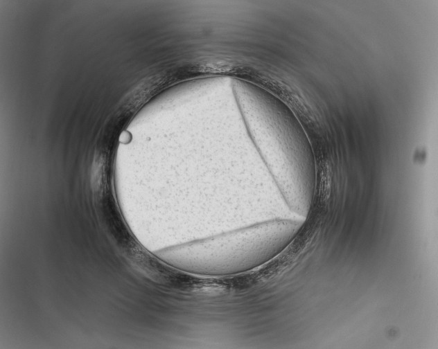 X0000116660598201001111251
