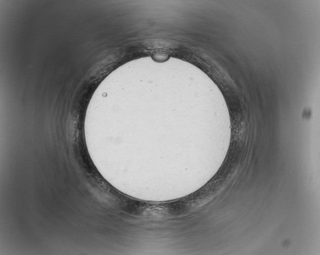 X0000116660599201001111251