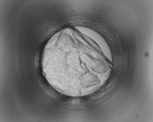 X0000116660600201001111251