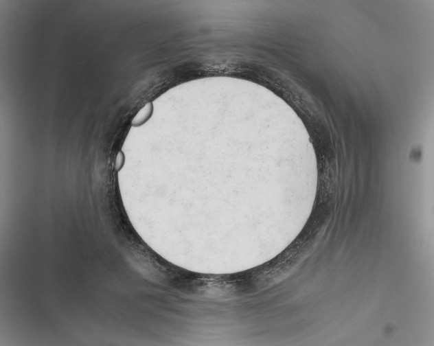 X0000116660601201001111251