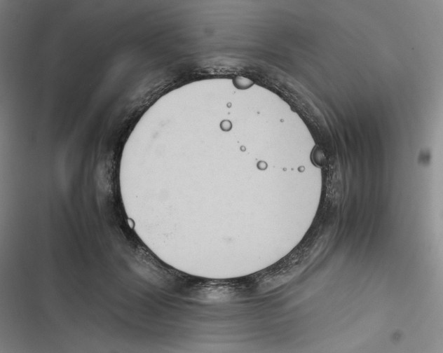 X0000116660604201001111251