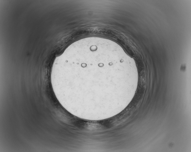 X0000116660605201001111251