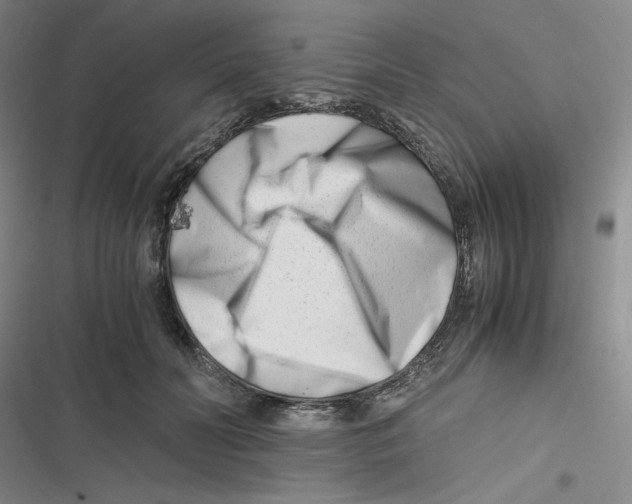 X0000116660606201001111251
