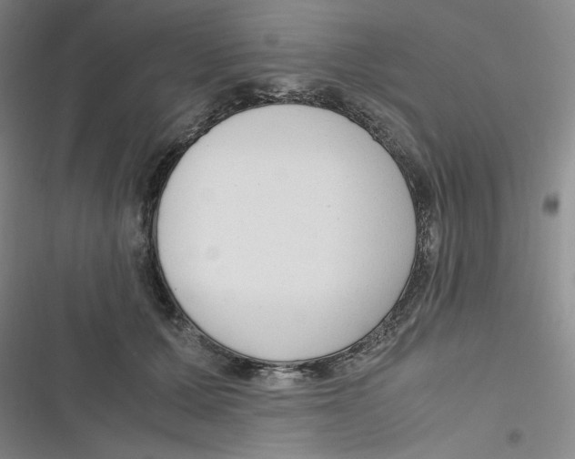 X0000116660607201001111251