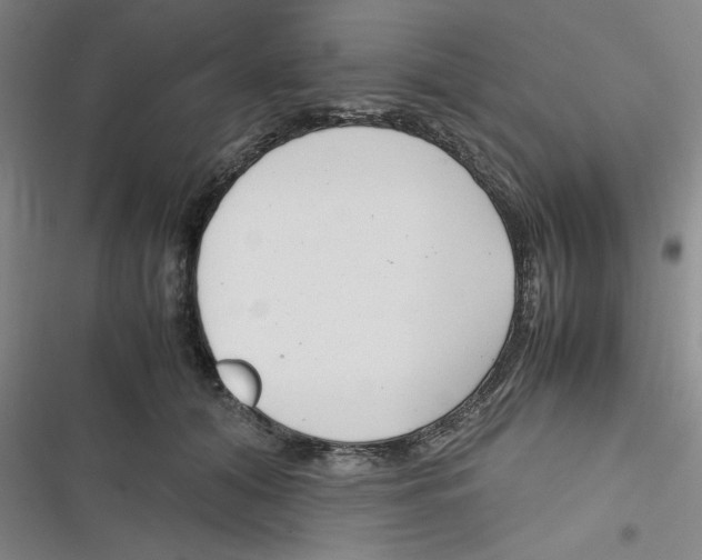 X0000116660608201001111251