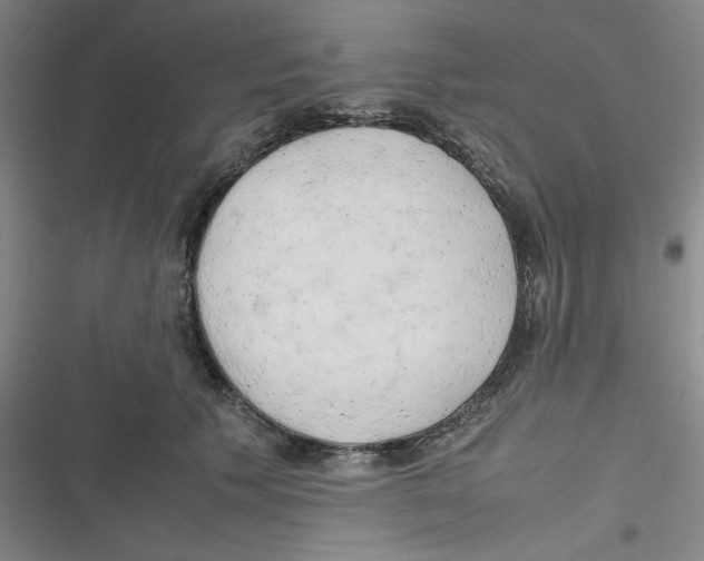 X0000116660609201001111251