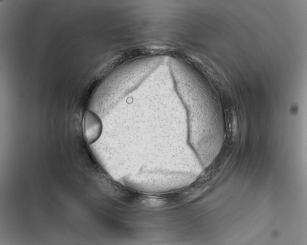 X0000116660610201001111251