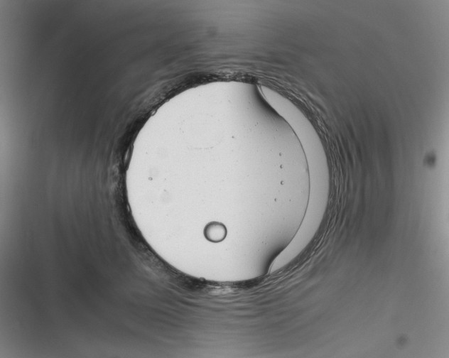 X0000116660611201001111251