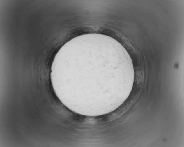 X0000116660613201001111251
