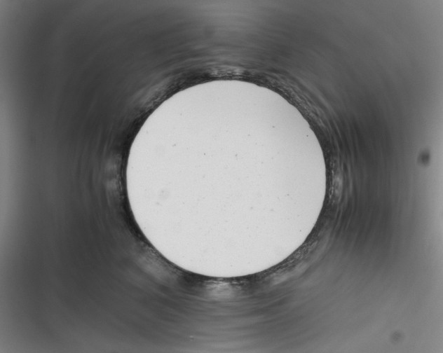 X0000116660616201001111251