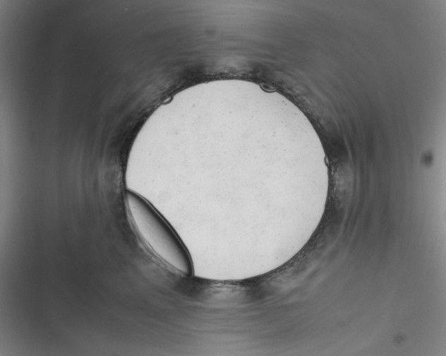X0000116660617201001111251