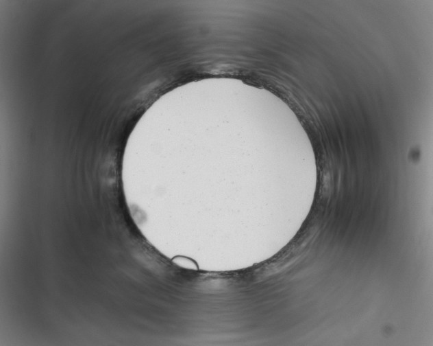 X0000116660620201001111251