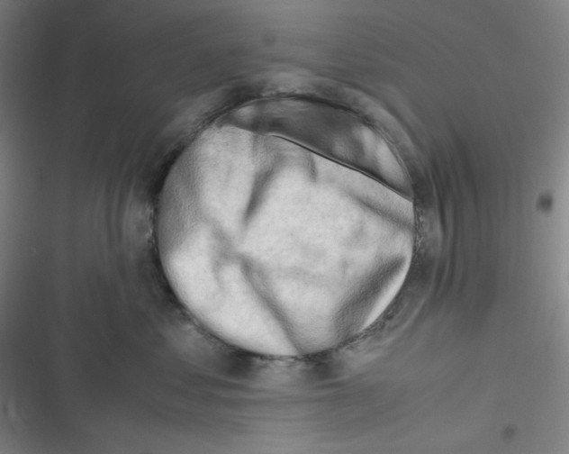 X0000116660621201001111251