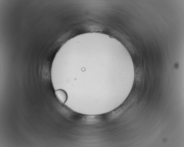 X0000116660622201001111251