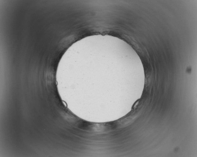 X0000116660623201001111251