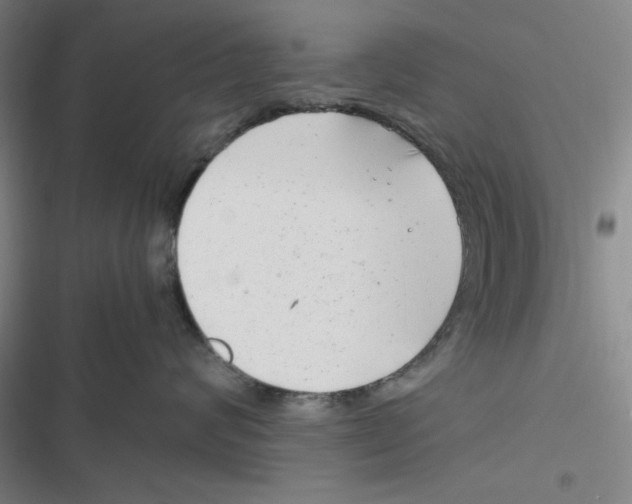 X0000116660624201001111251