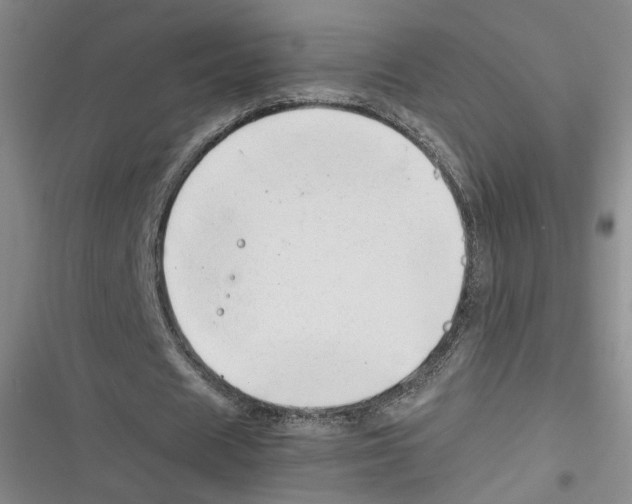 X0000116660625201001111250