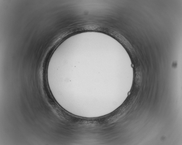 X0000116660626201001111250
