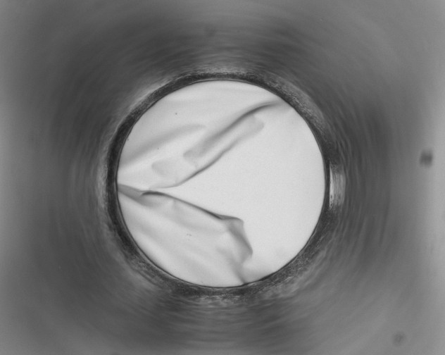 X0000116660627201001111250