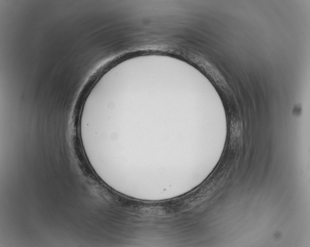 X0000116660628201001111250