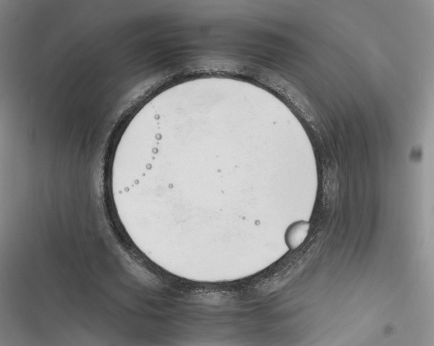 X0000116660629201001111250
