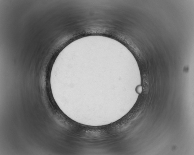 X0000116660631201001111250