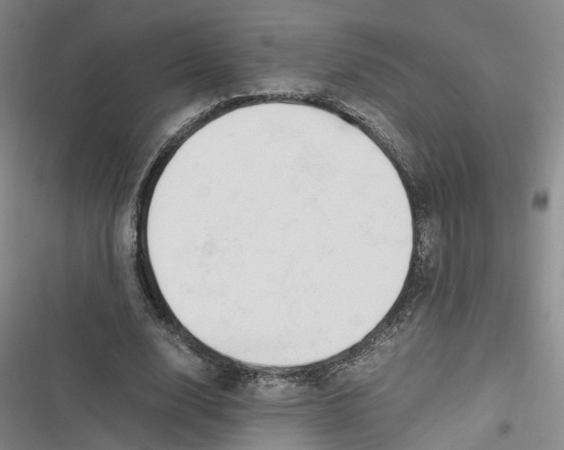 X0000116660632201001111250