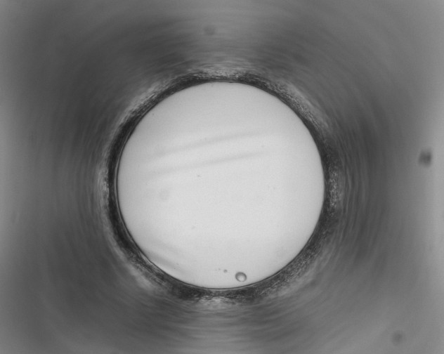 X0000116660634201001111251