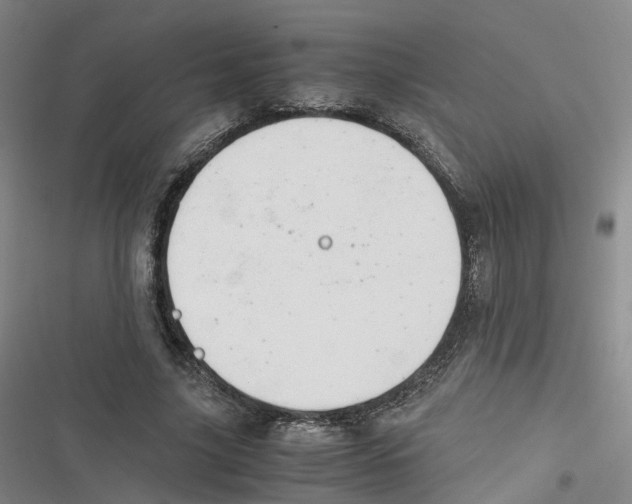 X0000116660635201001111251