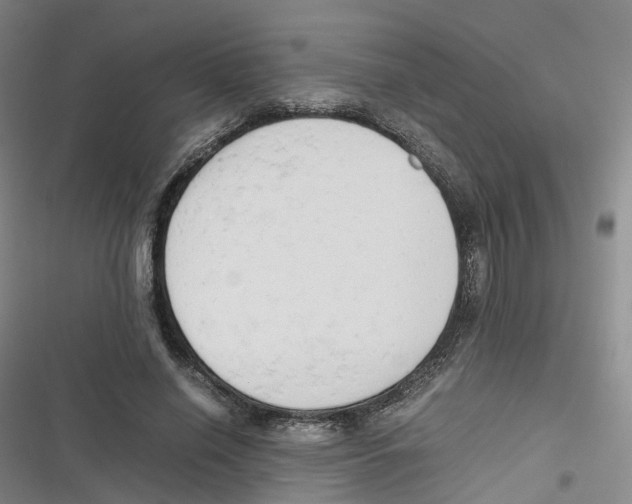 X0000116660638201001111251