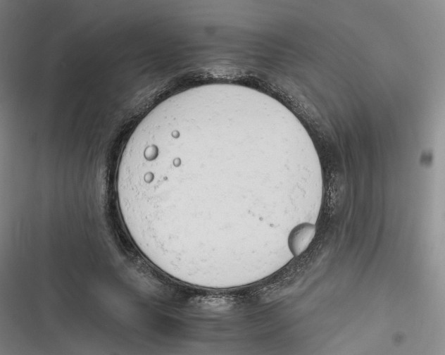 X0000116660639201001111251