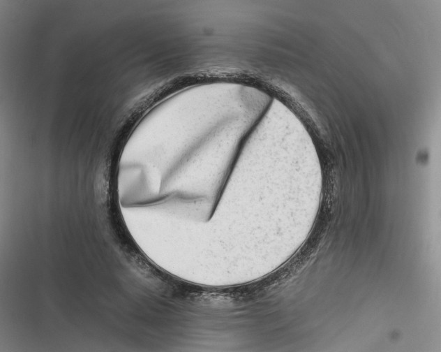 X0000116660640201001111251