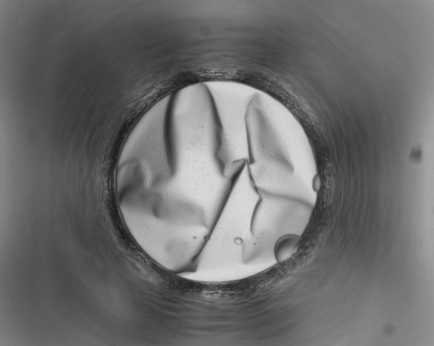 X0000116660641201001111251