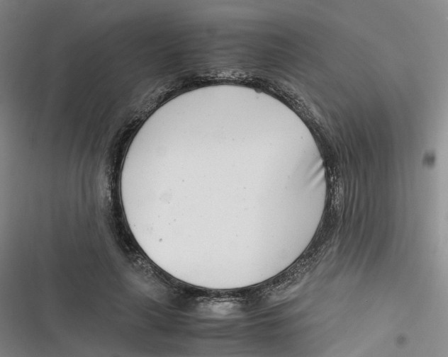 X0000116660643201001111251