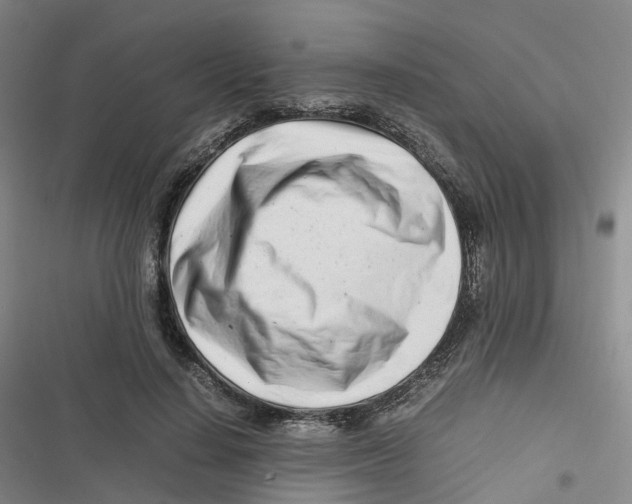 X0000116660644201001111251