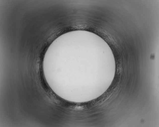 X0000116660647201001111251