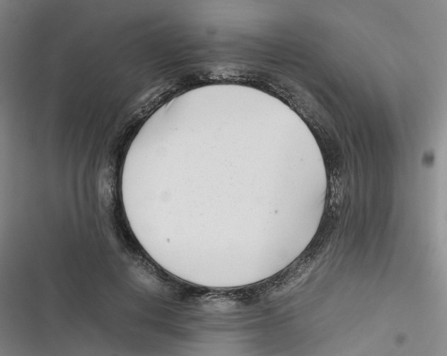 X0000116660648201001111251