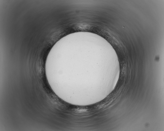 X0000116660651201001111251