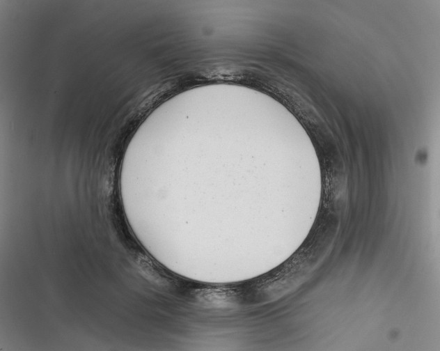 X0000116660652201001111251