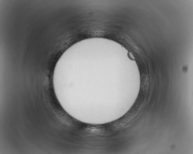 X0000116660655201001111251