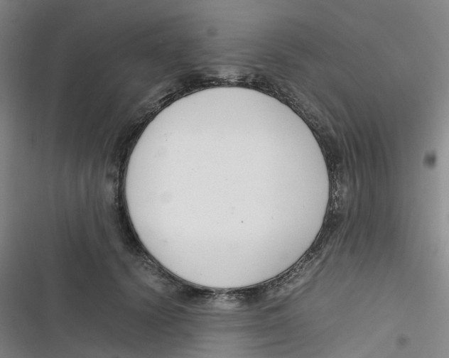 X0000116660656201001111251