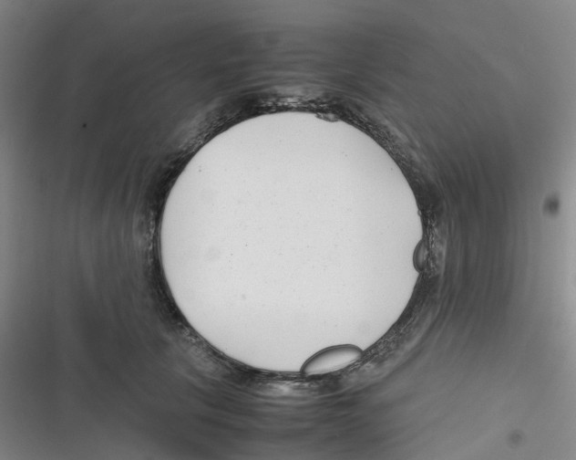 X0000116660657201001111251