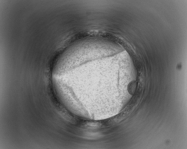 X0000116660659201001111251