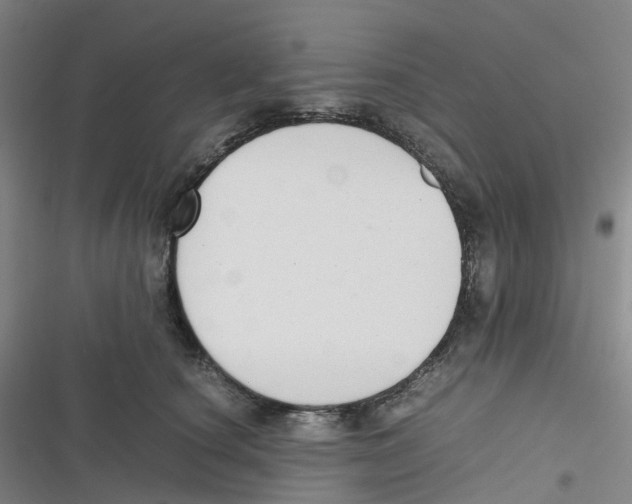 X0000116660660201001111251