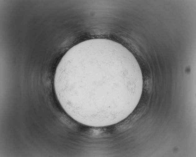 X0000116660662201001111251