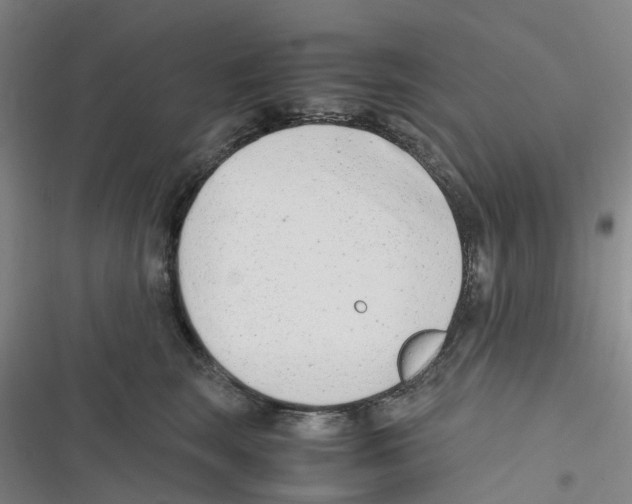 X0000116660663201001111251
