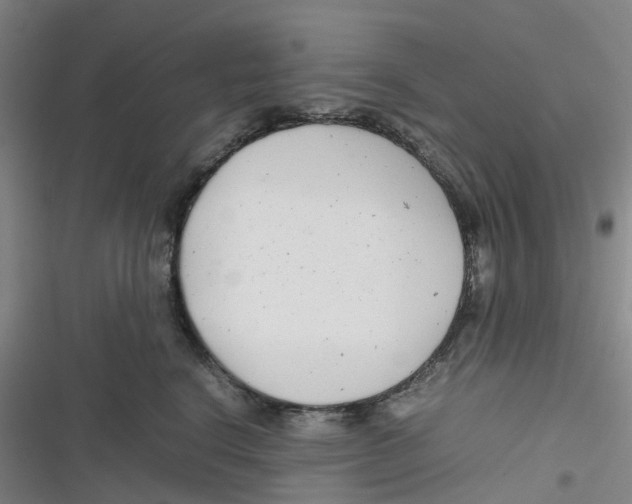 X0000116660664201001111251