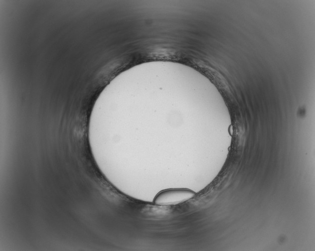 X0000116660665201001111251