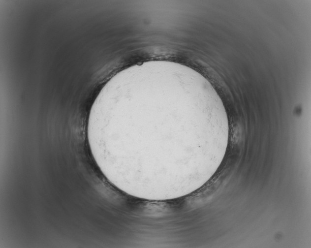X0000116660666201001111251