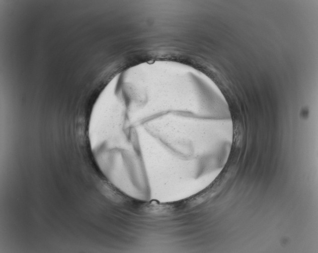 X0000116660670201001111251